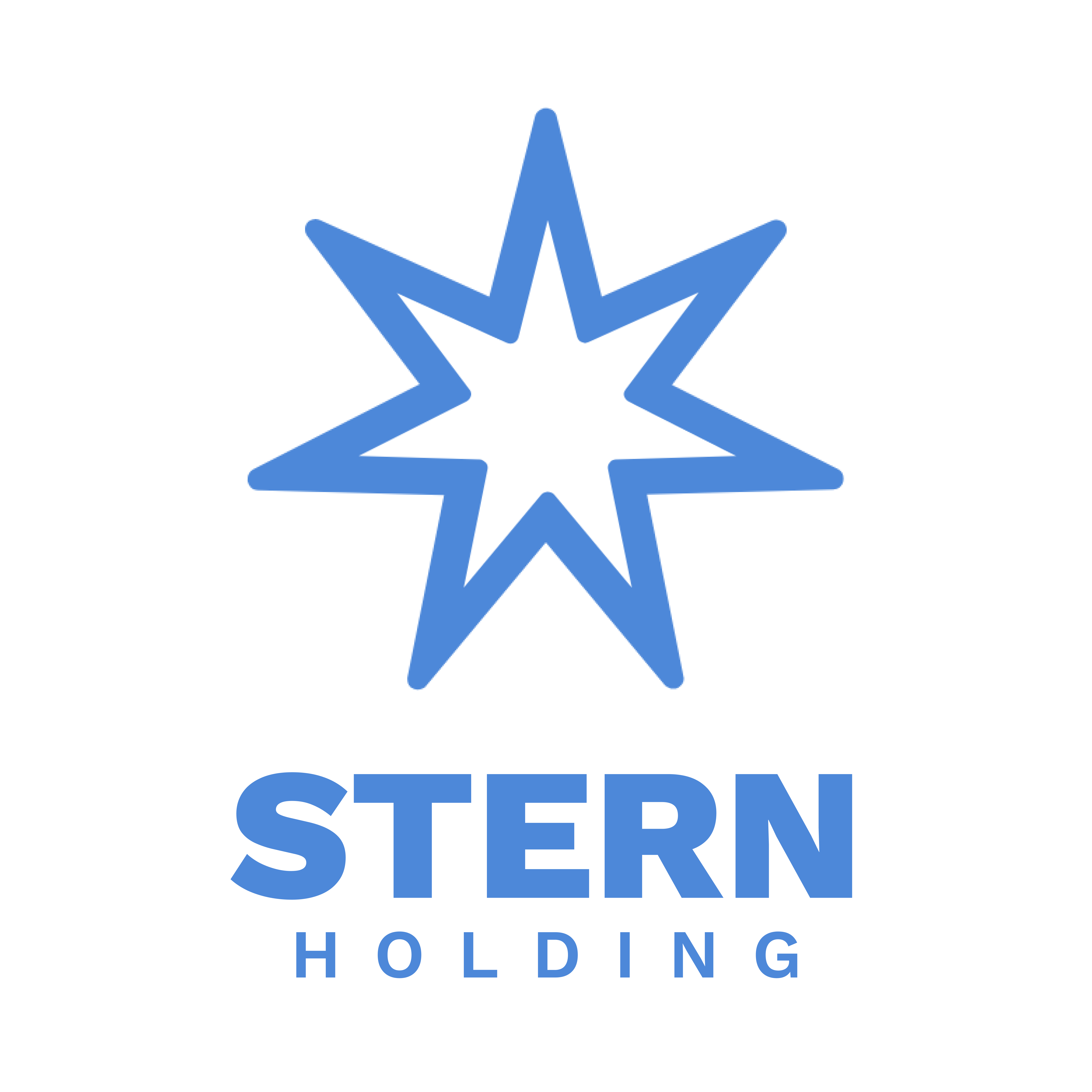 Sternholding 1Logo - blue